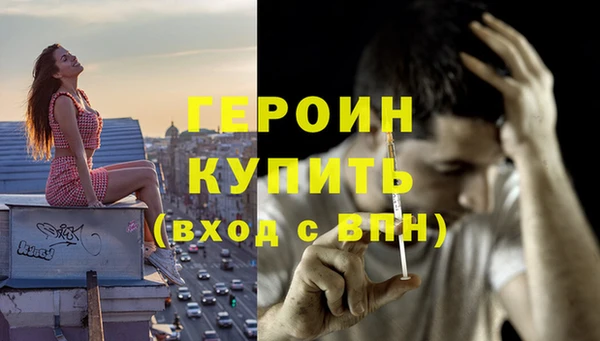 шишки Горняк