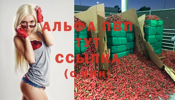 шишки Горняк