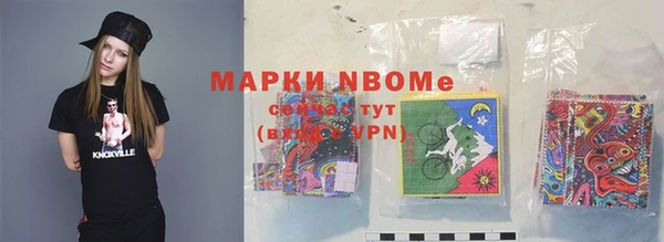 шишки Горняк