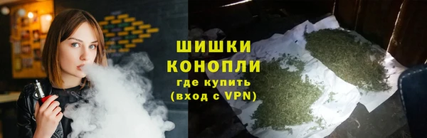 шишки Горняк