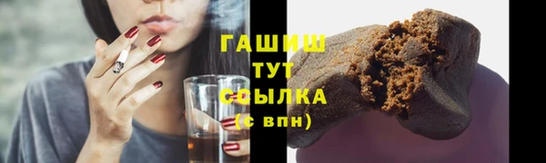шишки Горняк
