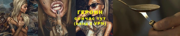 шишки Горняк