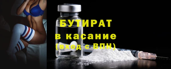 шишки Горняк