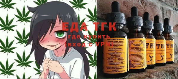 шишки Горняк
