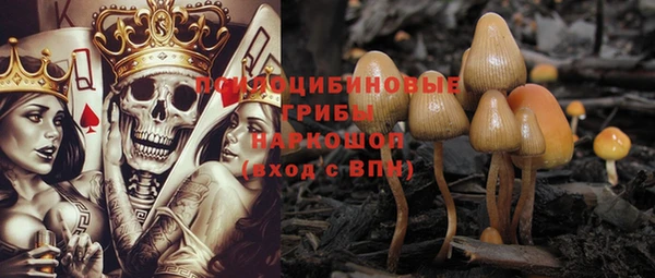 шишки Горняк