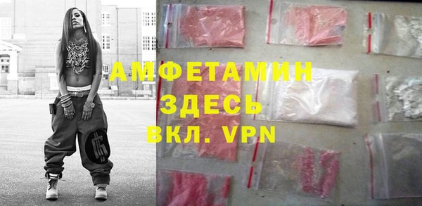 шишки Горняк