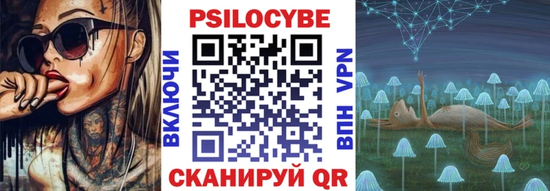 Псилоцибиновые грибы Psilocybine cubensis  Новороссийск 